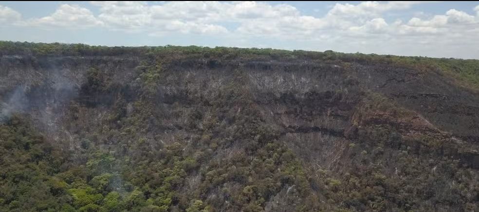 Área desmatada pelo fogo no maior incêndio de 2024, no município do Crato.